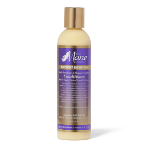 The Mane Choice Ancient Egyptian Anti-Breakage & Repair Antidote Conditioner- 8oz - Beauty & Organic Co.