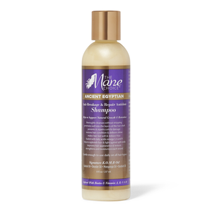 The Mane Choice Anti-Breakage & Repair Antidote Shampoo - 8oz - Beauty & Organic Co.